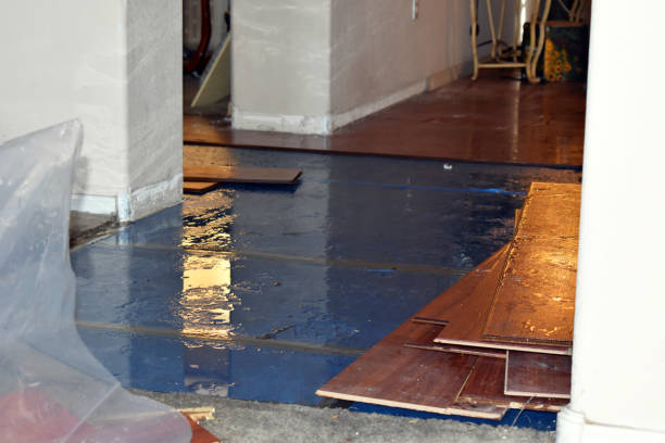 Professional Burst Pipe Cleanup technician working in Junction City, CA